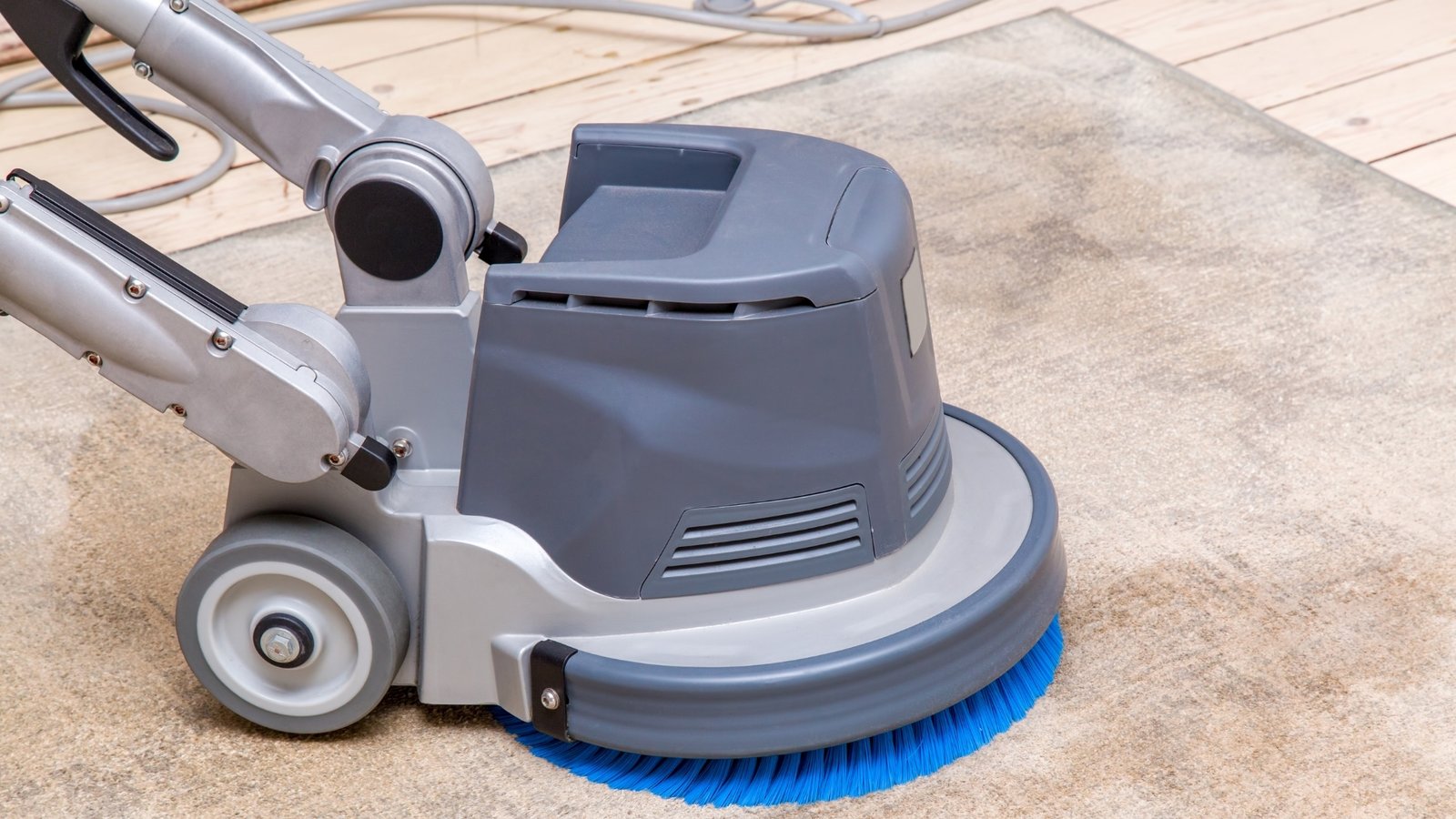 Cleaner using professional equipment for deep cleaning a living room rug